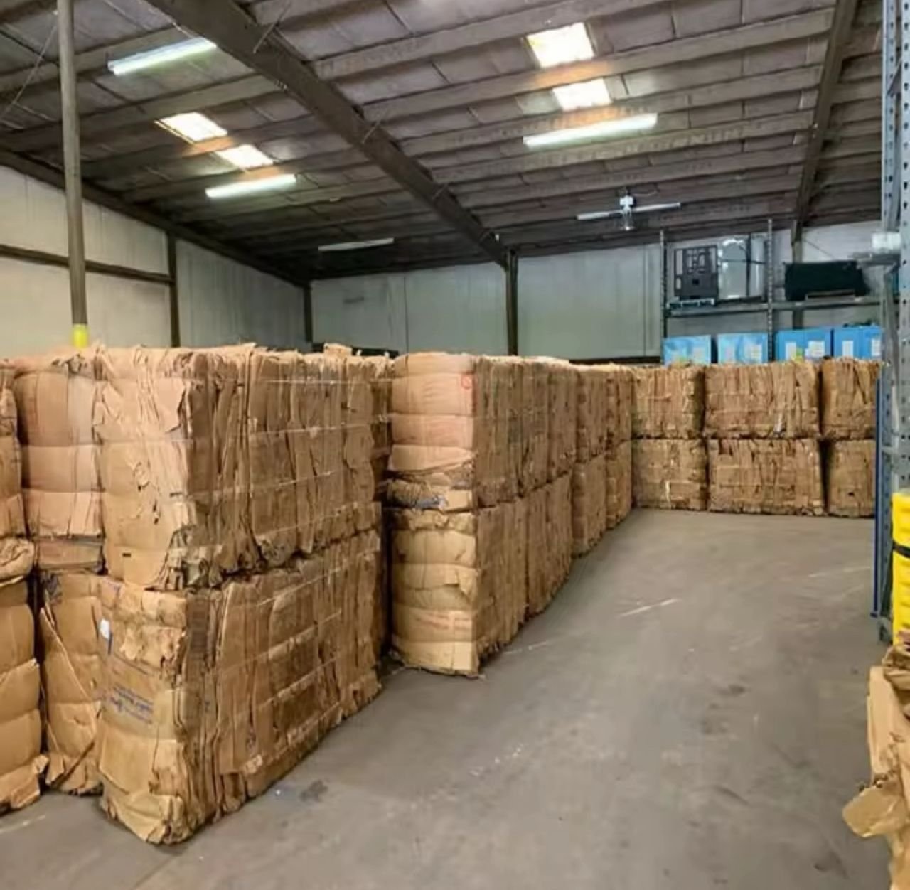 whatsapp image 2025 12 26 at 12.15.43 d2bc30eb